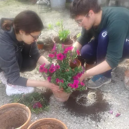 Casa vacanze La Meridiana Serrungarina