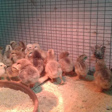 La Meridiana Casa vacanze Serrungarina