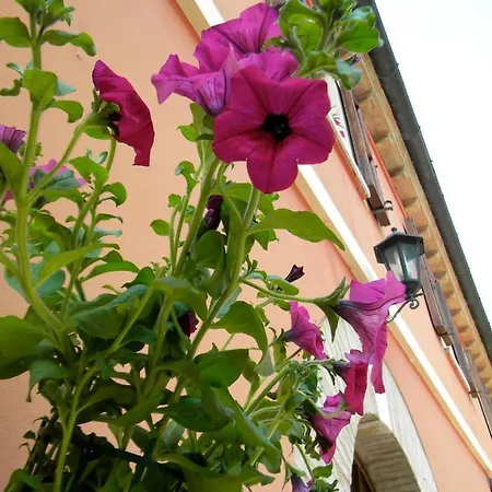 Casa vacanze La Meridiana