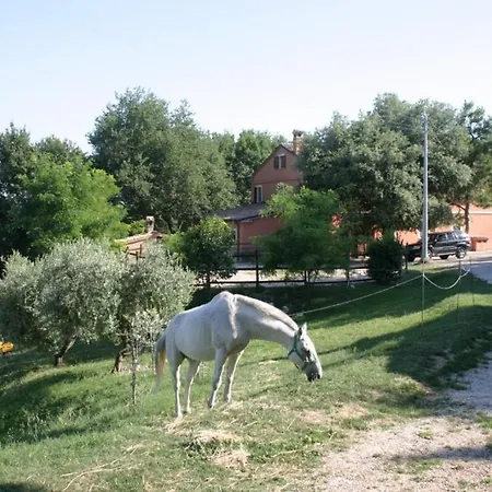 La Meridiana * Serrungarina