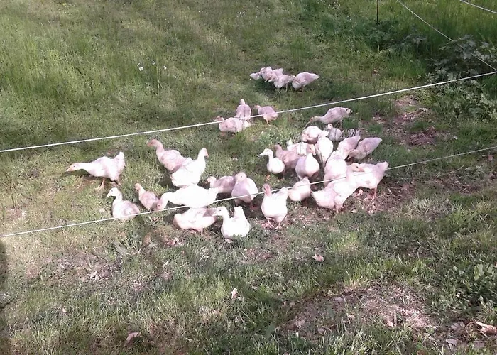 Holiday home La Meridiana *